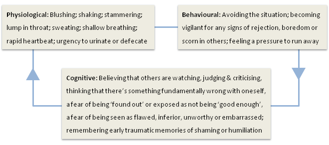 Social anxiety triad diagram